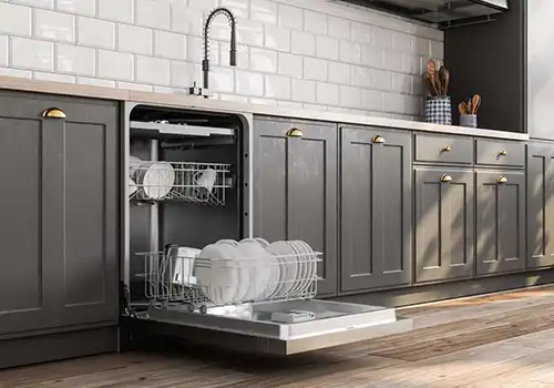 Expert Dishwasher Repair Services